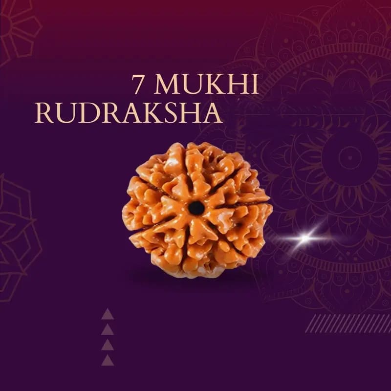 Rudraksha
