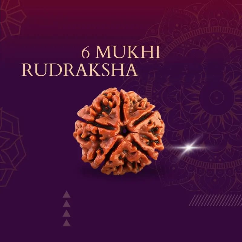 Rudraksha